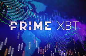 Discovering the PrimeXBT Website Your Ultimate Trading Platform Discovering the PrimeXBT Website Your Ultimate Trading Platform